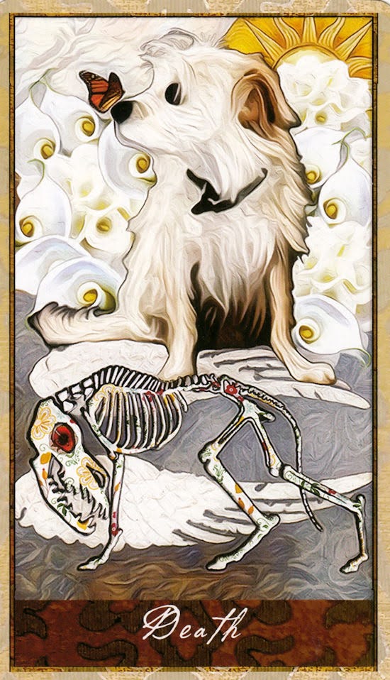 Wise Dog Tarot